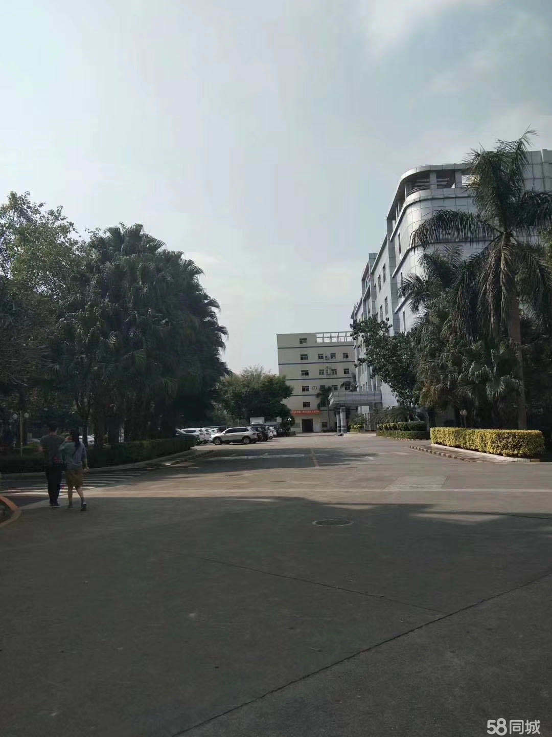 普工、生產(chǎn)工、操作工、裝配工、維修員、包裝工、插件、組長、拉長